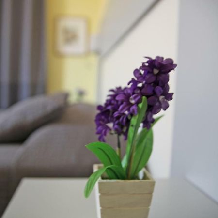 Seawall Holiday Home Salerno Luaran gambar